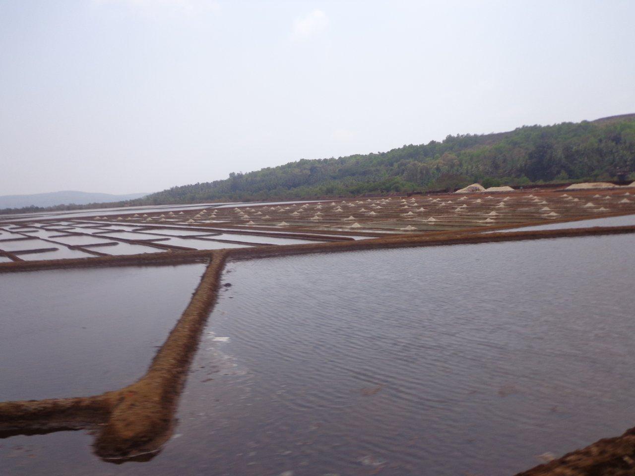 नमक बनाने का तरिका