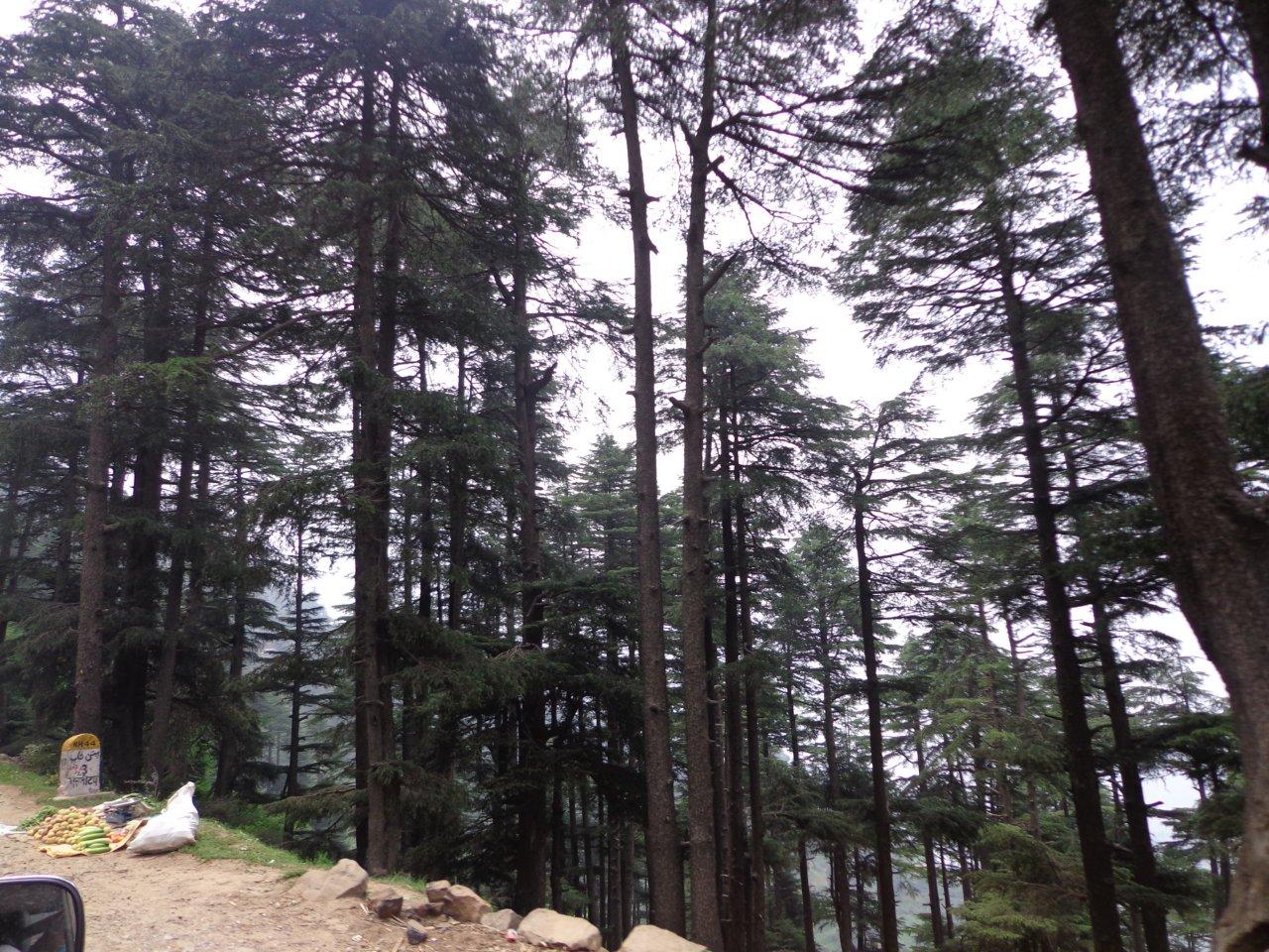 DSC01230 DSC01230