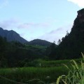 Thalan area