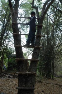 Climbing on the Tree House