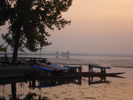 dal-lake