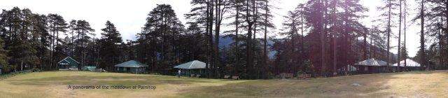 Patnitop meadow (13)