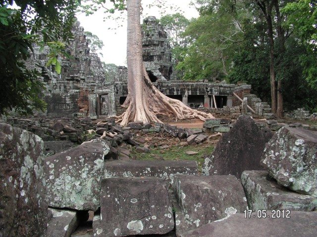 The Ta Prohm Temple with Silk-cotton trees