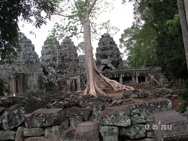 Ta Prohm Temple and Silk-cotton trees vying for space