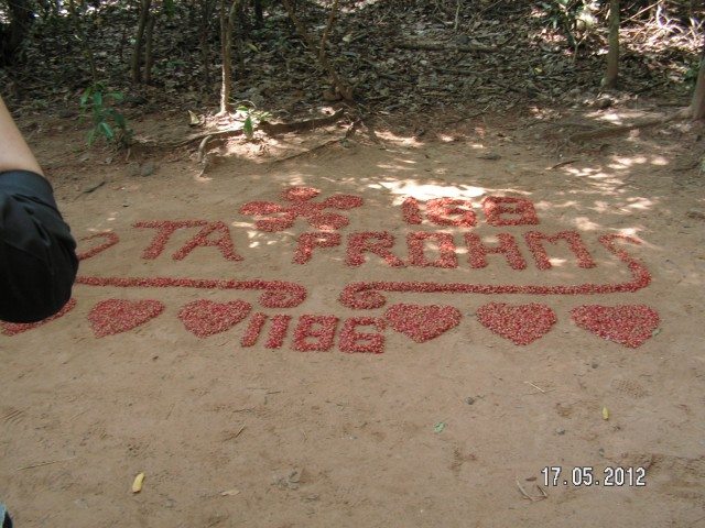 Welcome to Ta Prohm