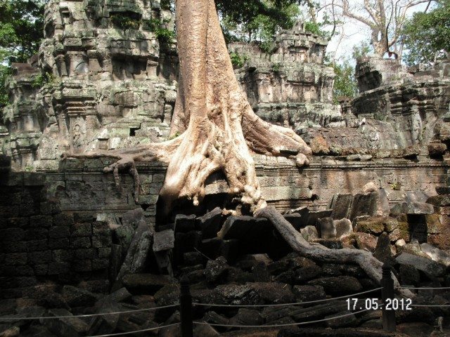 Roots spreading around a door â€“ stones crumbling