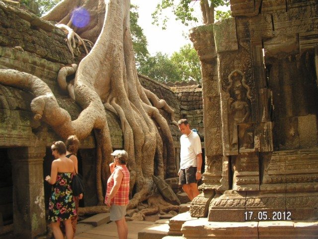 Roots of a Silk cotton trees spreading along the gallery of the second enclosure