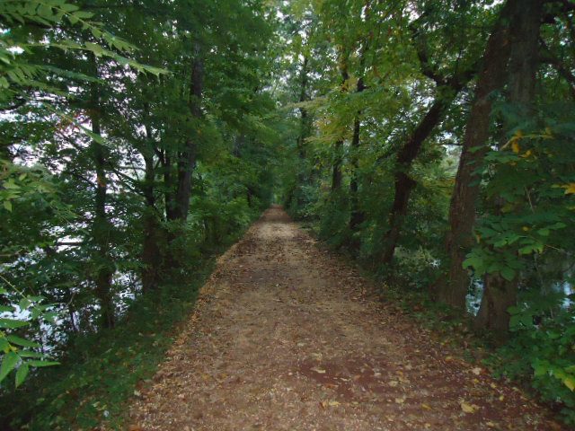 Walk