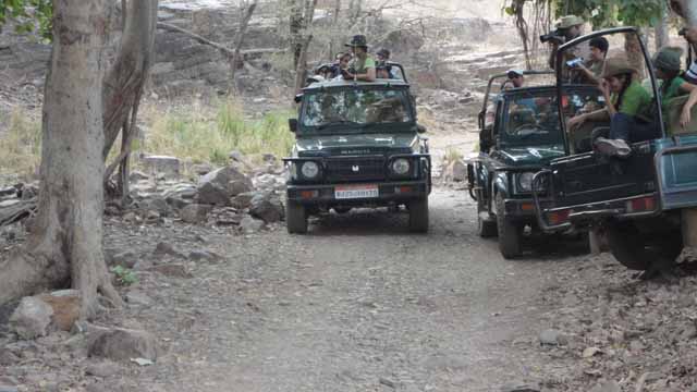 Misuse of govt vehicle