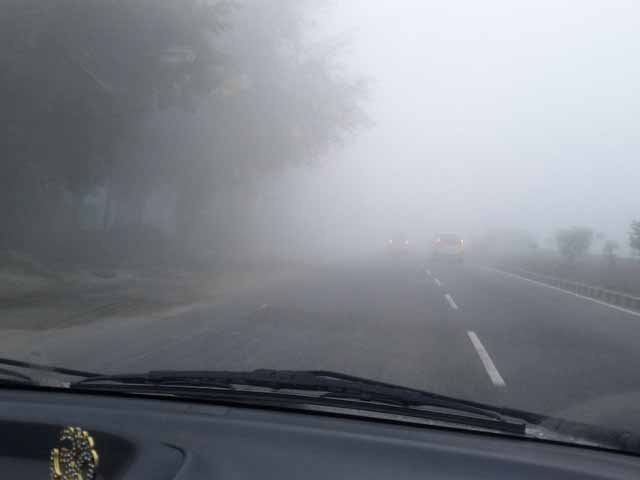 Fog @ Del Agra