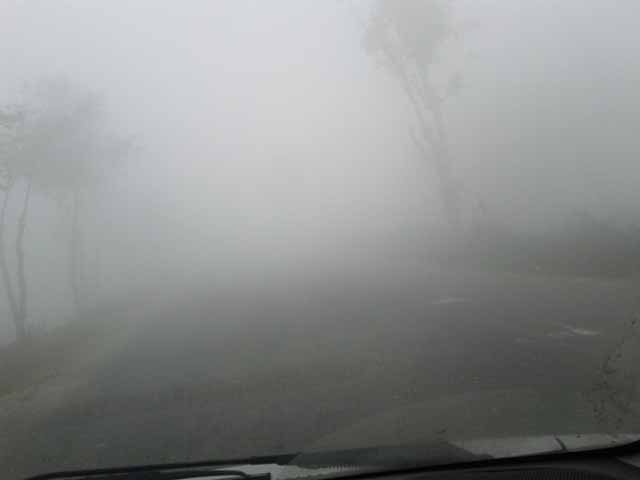 Fog@DA1