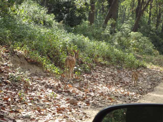 à¤¹à¤®à¥‡à¤‚ à¤°à¤¾à¤¸à¥à¤¤à¤¾ à¤¦à¤¿à¤–à¤¾à¤¤à¥‡ à¤¹à¥à¤