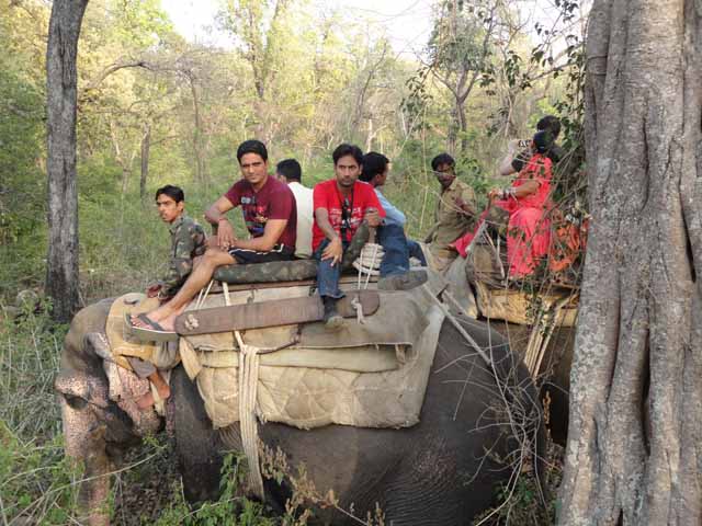 à¤¹à¤¾à¤¥à¥€ à¤ªà¤° à¤®à¤¨à¥‹à¤œ à¤µà¥ à¤¯à¥‹à¤—à¥‡à¤¶
