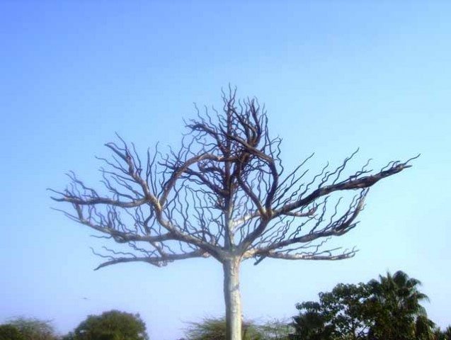 Tree made with Brass