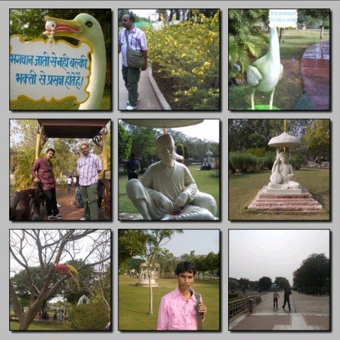 Green Lawns