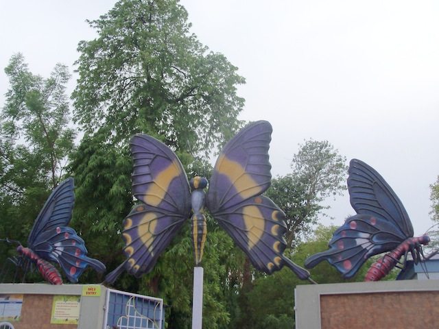 Inviting all to meet these creatures