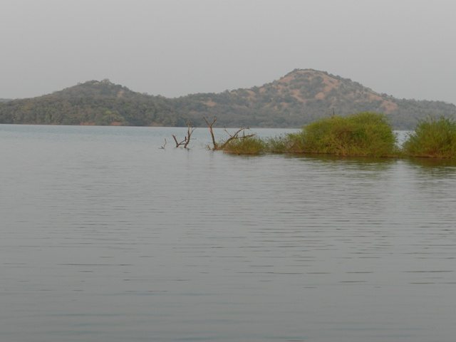 Plenty of Water