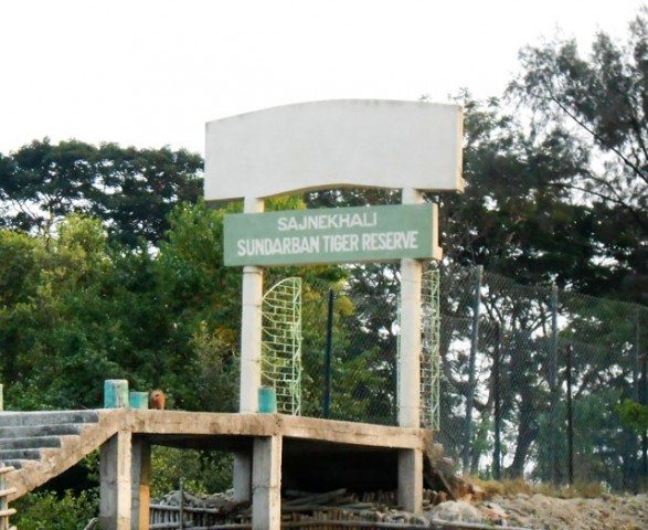 The second stop at Sajnekhali