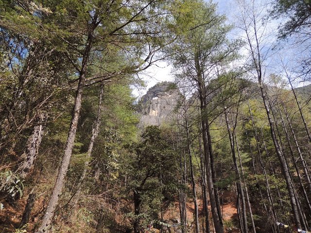 Blurred view of the Monastery from starting point