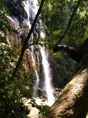 Bee Falls
