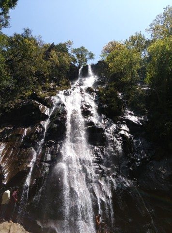Bee Falls