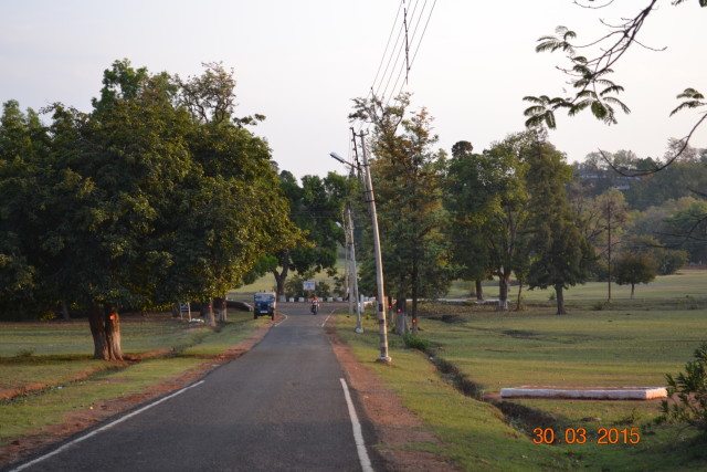 Evening walk