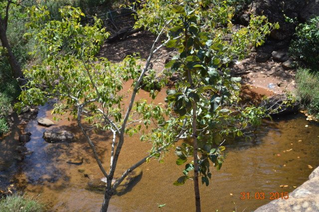 Kund in Apsara vihar