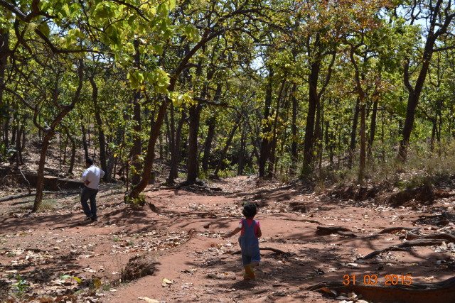 Rajat Prapat track