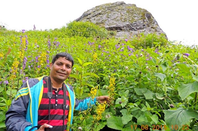 In the Valley of Flowers