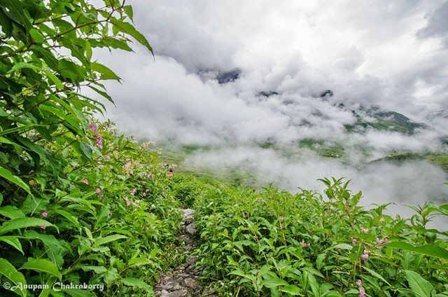 We continued trekking and..!