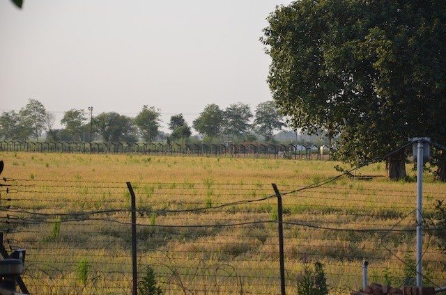 View of both the sides of the border : Any difference?